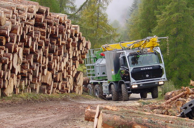 logging-gallery-dsc000391