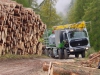 logging-gallery-dsc000391